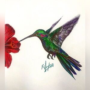 Hummingbird